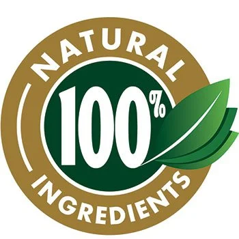 RhythmONE RhythmONE all natural vegan ingredients